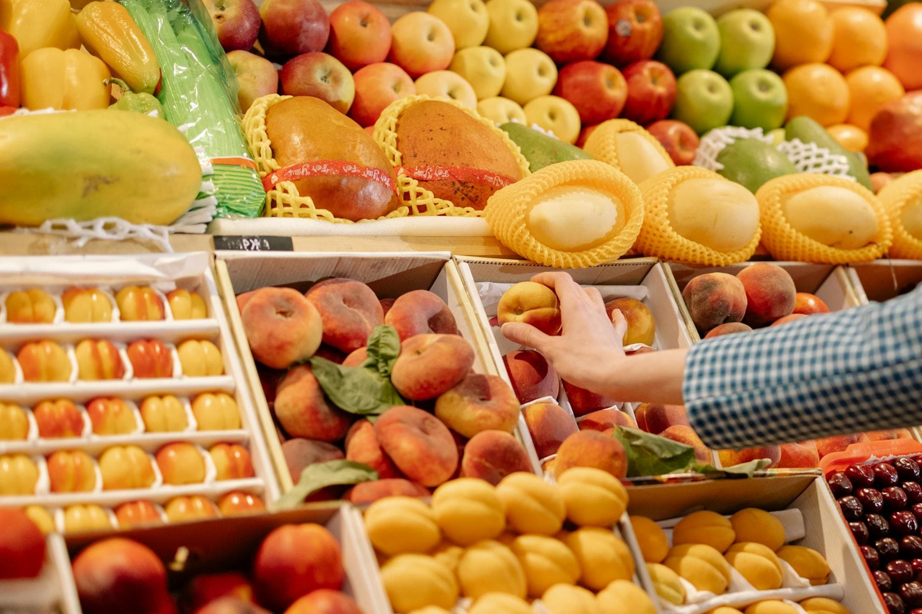 fruits